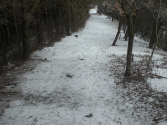 積雪が少ない尾根道